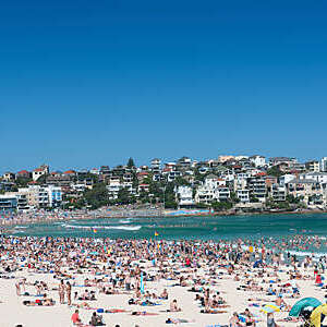 Lots of people in Bondi beach, Sidney, Australia