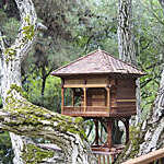 Miniature tree house. Natural view